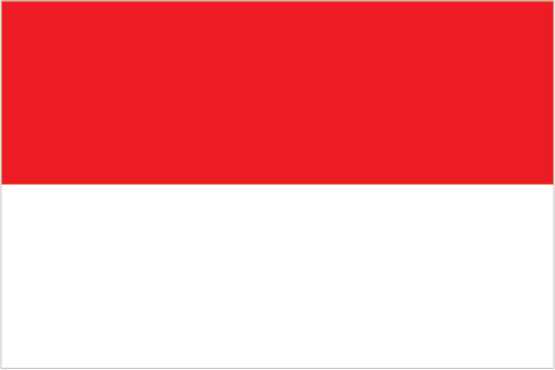 IDN